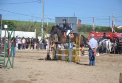 Nos três dias da feira houve provas equestres. Foto: Autarquia de Arruda dos Vinhos