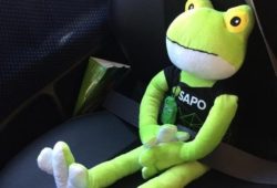 Dias bons são aqueles em que regressamos a casa em boa companhia - SAPO