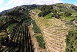 Um voo panorâmico pelo Douro permite apreciar as melhores paisagens