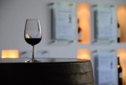 Atividades para fazer no Douro na primavera