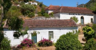 Quinta da Ferradosa - Páscoa no Douro