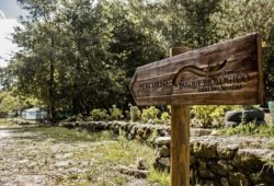 Percurso do Parque Biológico Serra das Meadas - Lamego