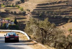 Uma vez no Douro, não deixe de passar pela EN 222, uma das melhores estradas do mundo