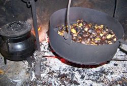 Castanhas pelo São Martinho