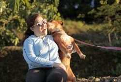 Cães após a quarentena