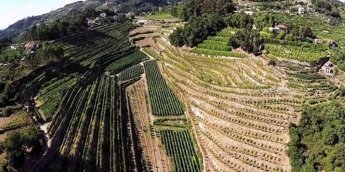 Um voo panorâmico pelo Douro permite apreciar as melhores paisagens